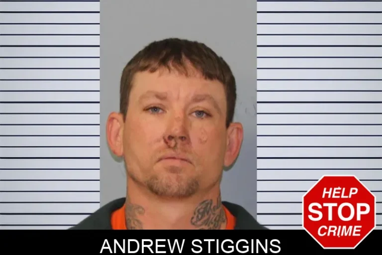 Andrew Stiggins