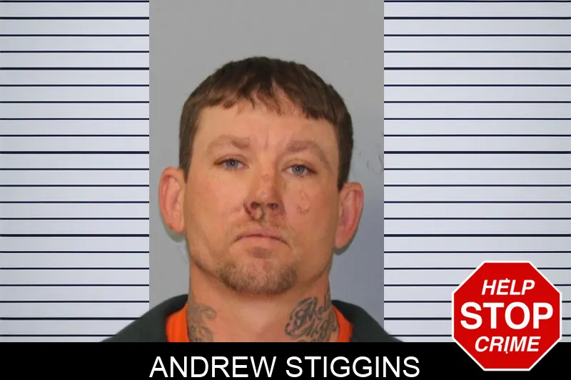 Andrew Stiggins Mugshots