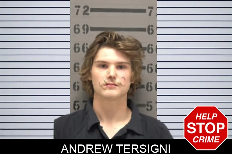 Andrew Tersigni Mugshots
