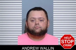 Andrew Wallin mugshot