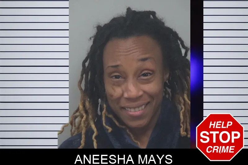 Aneesha Mays Mugshots
