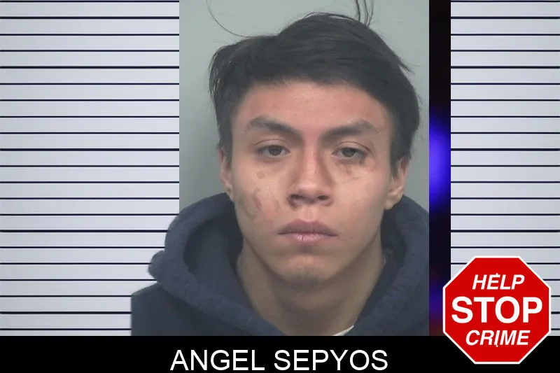 Angel Sepyos mugshot – Gwinnett County , Georgia Angel Sepyos mugshot