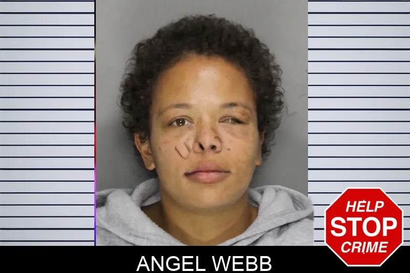 Angel Webb mugshot – Cobb County , Georgia Angel Webb mugshot