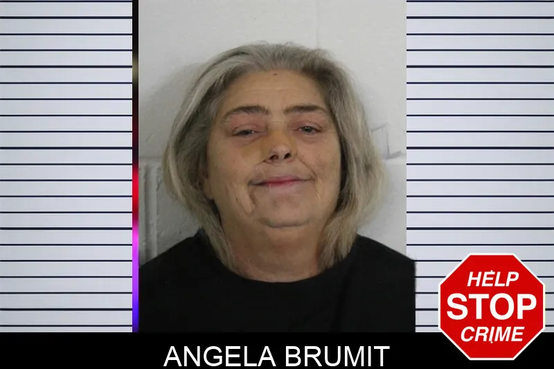 Angela Brumit Mugshots