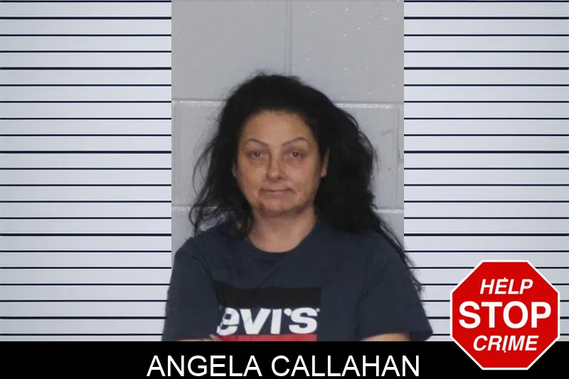 Angela Callahan Mugshots
