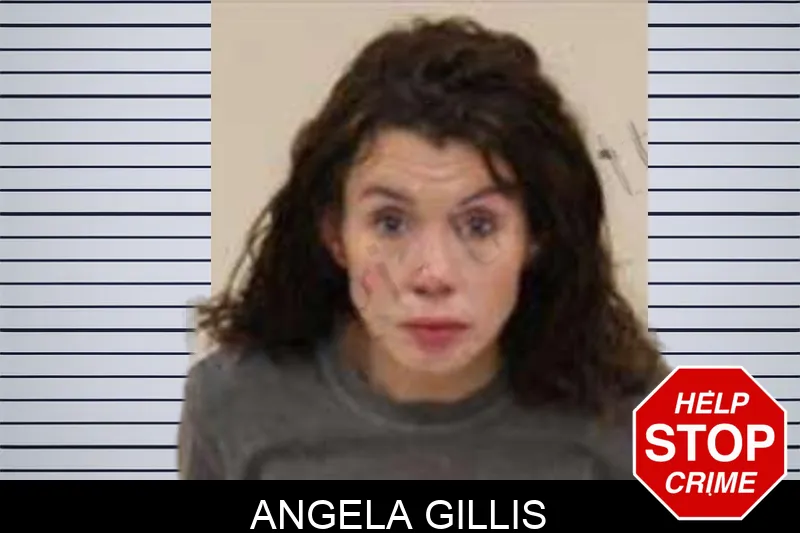 Angela Gillis Mugshots