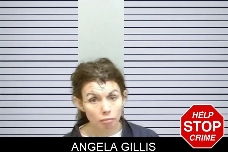 Angela Gillis mugshot – Fulton County , Georgia Angela Gillis mugshot