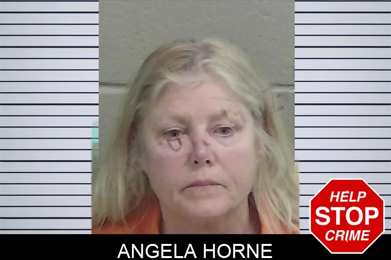 Angela Horne Mugshots