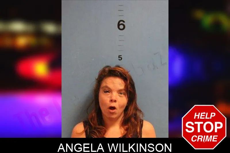 Angela Wilkinson Mugshots