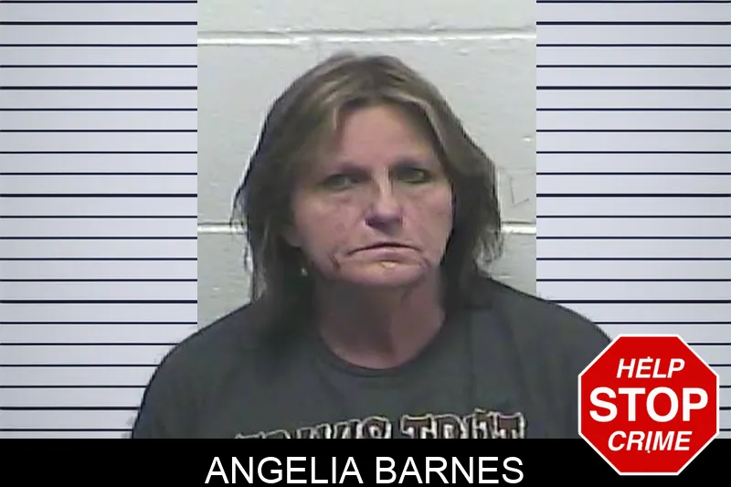 Angelia Barnes Mugshots