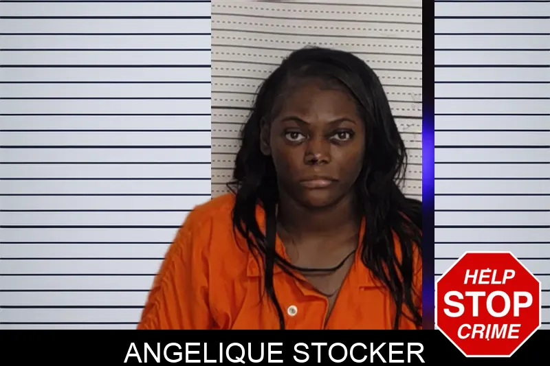 Angelique Stocker Mugshots