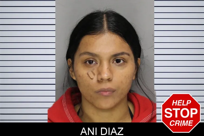 Ani Diaz Mugshots