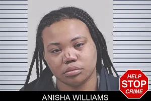 Anisha Williams mugshot