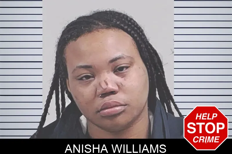 Anisha Williams Mugshots