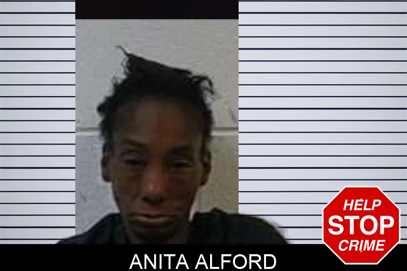 Anita Alford Mugshots