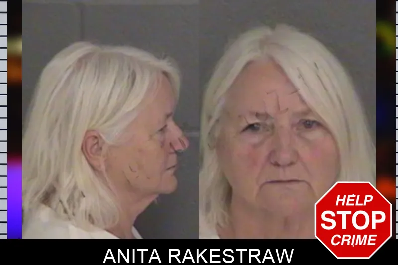 Anita Rakestraw Mugshots