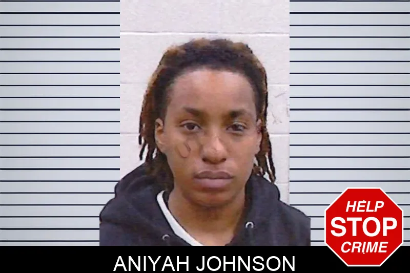 Aniyah Johnson Mugshots