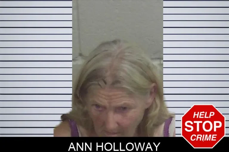 Ann Holloway