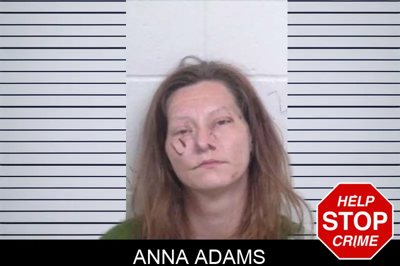 Anna Adams Mugshots
