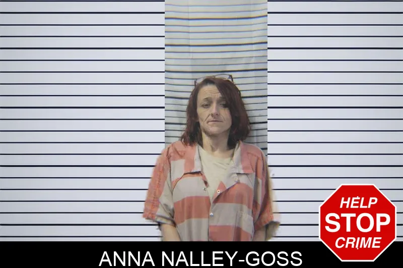 Anna Nalley-Goss Mugshots