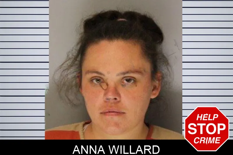 Anna Willard Mugshots