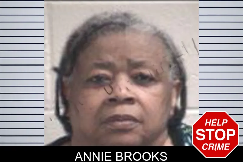 Annie Brooks Mugshots