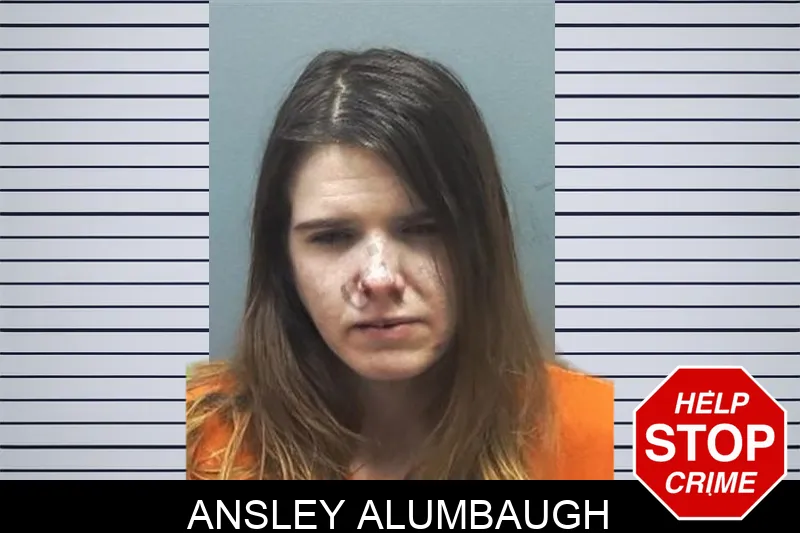 Ansley Alumbaugh Mugshots