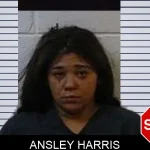 Ansley Harris Mugshots