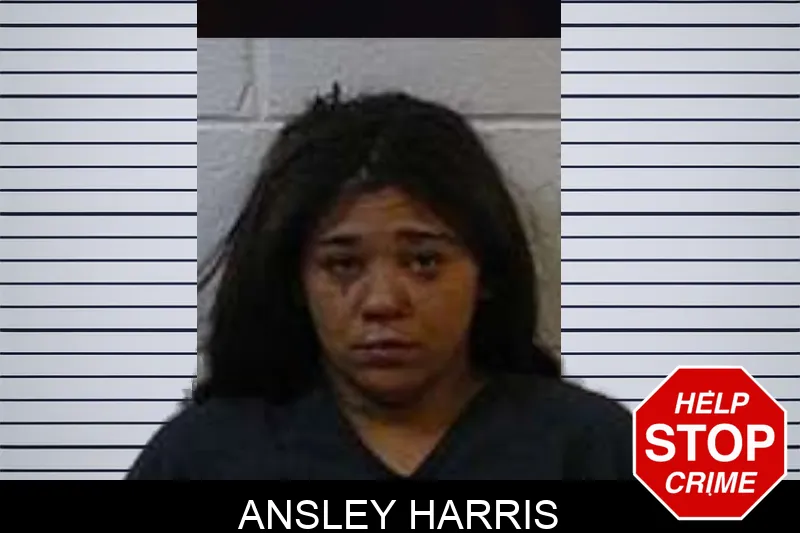 Ansley Harris Mugshots