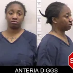 Anteria Diggs Mugshots