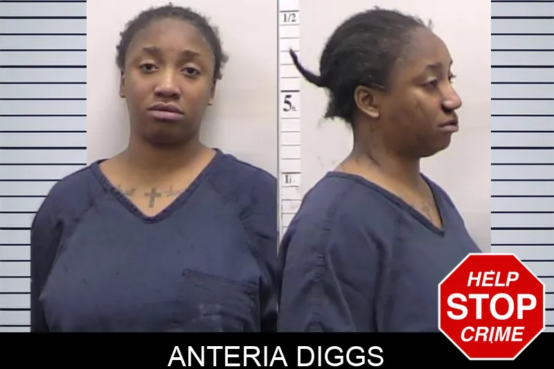 Anteria Diggs Mugshots