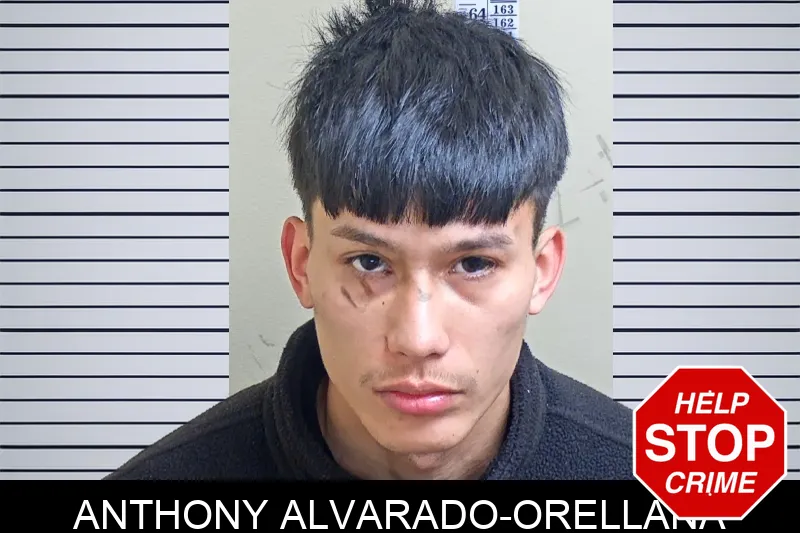 Anthony Alvarado-Orellana mugshot