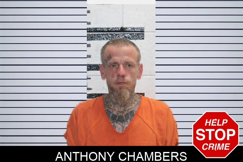 Anthony Chambers Mugshots