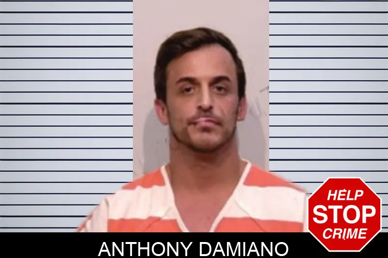 Anthony Damiano Mugshots