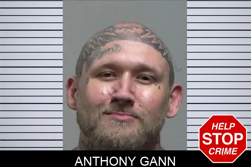 Anthony Gann Mugshots