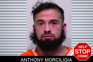 Anthony Morciligia mugshot