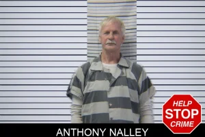 Anthony Nalley mugshot