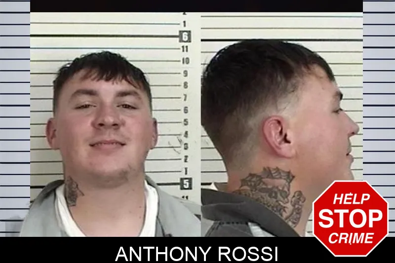 Anthony Rossi Mugshots