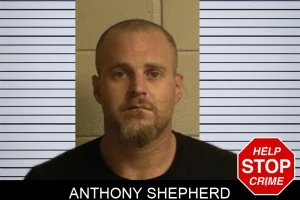 Anthony Shepherd mugshot