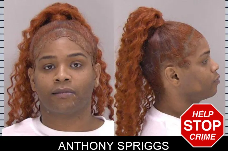 Anthony Spriggs Mugshots