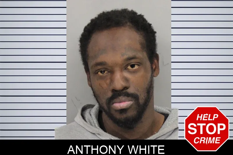 Anthony White mugshot