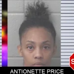 Antionette Price Mugshots