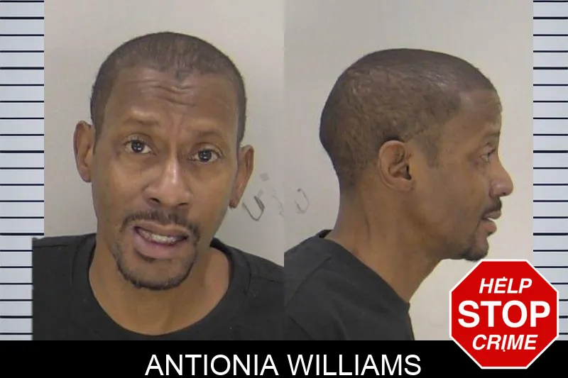 Antionia Williams Mugshots