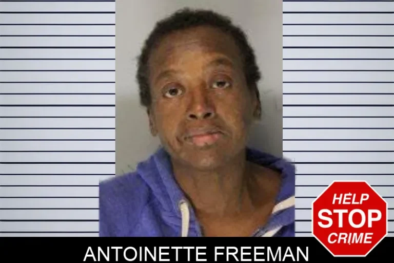 Antoinette Freeman mugshot – Hall County , Georgia Antoinette Freeman