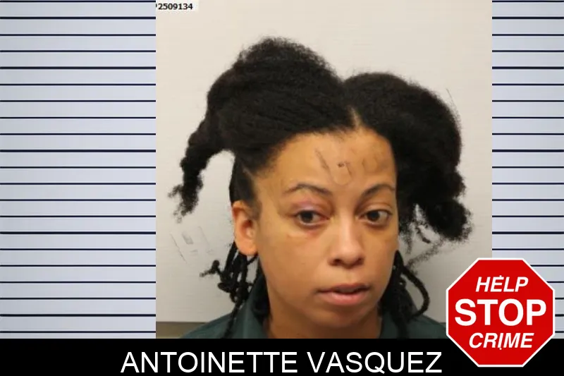 Antoinette Vasquez Mugshots