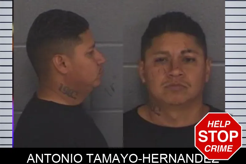Antonio Tamayo-Hernandez Mugshots