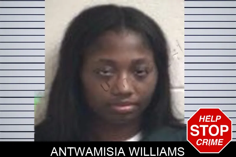 Antwamisia Williams mugshot – Henry County , Georgia Antwamisia Williams mugshot