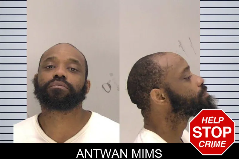 Antwan Mims Mugshots