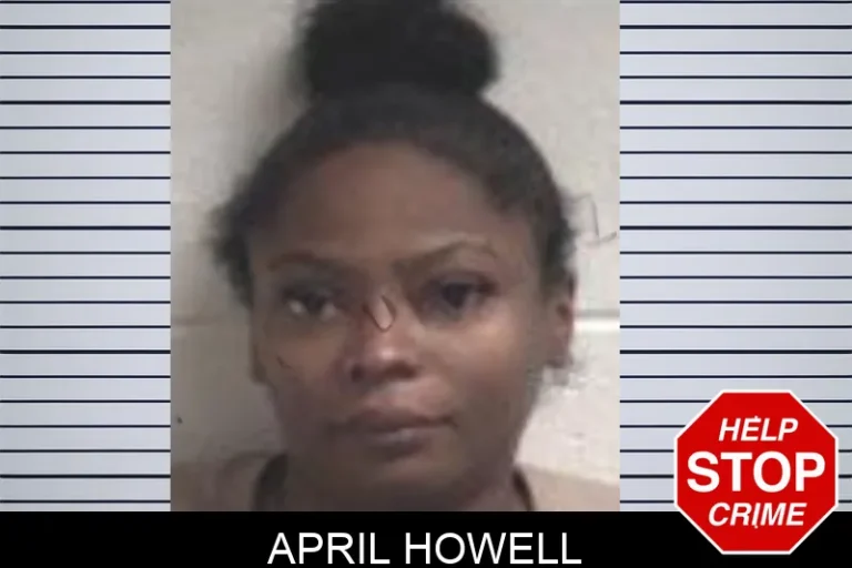 April Howell mugshot – Henry County , Georgia April Howell