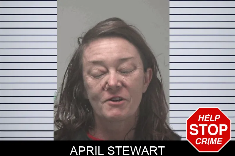April Stewart Mugshots